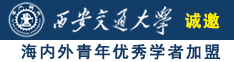 www.BB操B诚邀海内外青年优秀学者加盟西安交通大学